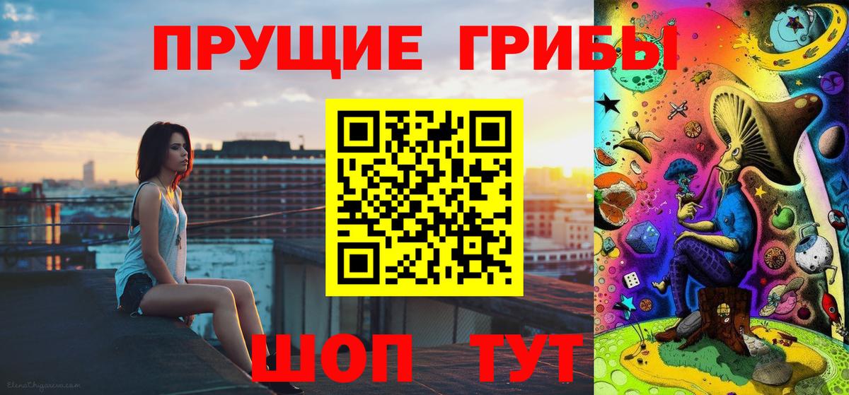Псилоцибиновые грибы Psilocybine cubensis Соль-Илецк