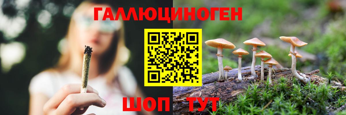 Соль-Илецк  Галлюциногенные грибы Psilocybine cubensis  Галлюциногенные грибы Cubensis  Вход с VPN 
